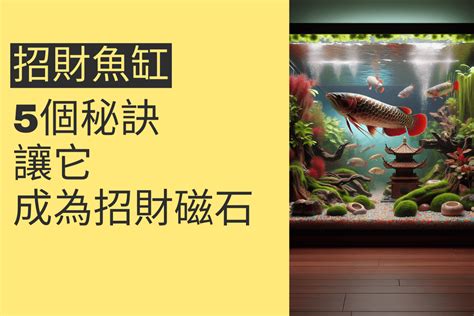 魚缸 招財法|5個秘訣讓你的魚缸成為招財磁石